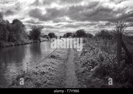 Trent und Mersey canal mit leinpfad im Elworth in der Nähe von Sandbach Cheshire UK Stockfoto