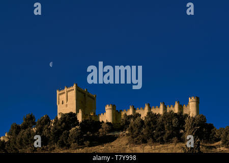 Castillo de Villena, Wein Museum Ursprungsbezeichnung von Ribera de Duero, Provinz Valldolid, Castilla y León, Spanien Stockfoto