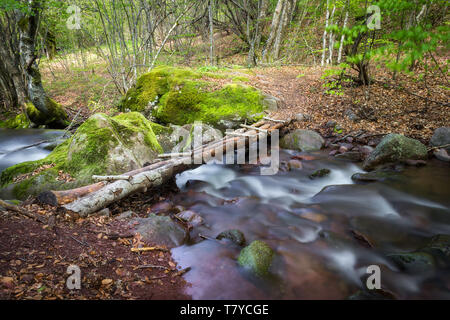 Malerische, holzbrücke von Protokolle über Motion Mountain Creek fließt durch Wald und Kaskadierung zwischen nassen Felsen, bedeckt von grünen Moos verschwommen Stockfoto