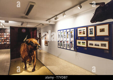 Spanien, Valencia, die Stierkampfarena Museum, das Museo Taurino Foto Federico Meneghetti/Sintesi/Alamy Stock Foto Stockfoto