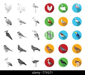 Arten von Vögeln mono, Flachbild Symbole im Set Sammlung für Design. Haus- und Wild Bird vektor Symbol lieferbar Abbildung. Stock Vektor