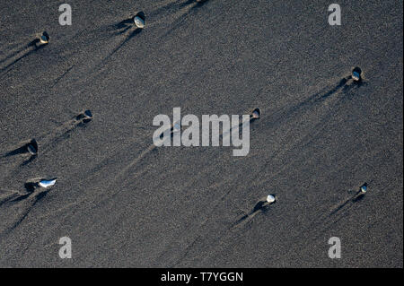 Schwarzen vulkanischen Sand Wellen abstrakt hintergrund Textur mit Copyspace. Schwarze Strände von Island. Stockfoto