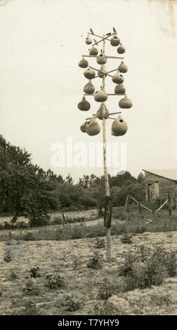 Vogel Häuser aus Kürbisse auf einer Stange, Drosseln, 1941. Rpc. Stockfoto