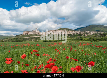 Assisi, Umbrien (Italien) - die tollen mittelalterlichen Stadt in der Region Umbrien, mit der berühmten Saint Francis Heiligtum. Stockfoto