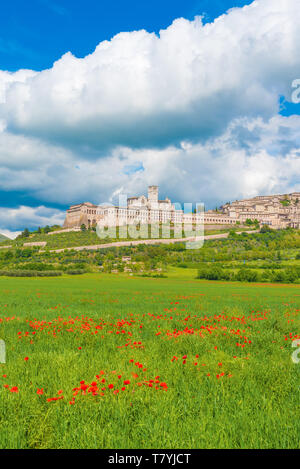 Assisi, Umbrien (Italien) - die tollen mittelalterlichen Stadt in der Region Umbrien, mit der berühmten Saint Francis Heiligtum. Stockfoto