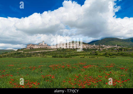 Assisi, Umbrien (Italien) - die tollen mittelalterlichen Stadt in der Region Umbrien, mit der berühmten Saint Francis Heiligtum. Stockfoto