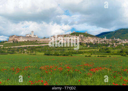 Assisi, Umbrien (Italien) - die tollen mittelalterlichen Stadt in der Region Umbrien, mit der berühmten Saint Francis Heiligtum. Stockfoto