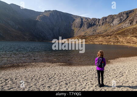 Ein junger Wanderer steht neben Llyn Idwal mit Blick über den See in Richtung Idwal Platten auf der Glyderau Gebirge, Snowdonia National Park, Wales Stockfoto