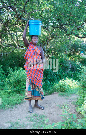 Hadzabe-Frau, die einen schweren eimer mit kanister voller Trinkwasser aus dem Fluss in ihr Dorf in Tansania, Afrika, 30. Januar 2019 Stockfoto