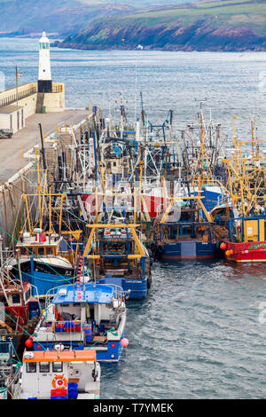 Fischerboote im Hafen von Schälen, von der Insel Man Stockfoto