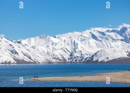 Indien, Jammu und Kaschmir, Himalaya, Ladakh, Changthang Hochebene (Changtang), Rupshu Tal, Wandern am westlichen Ufer des Tsomoriri See (4530 m) Stockfoto