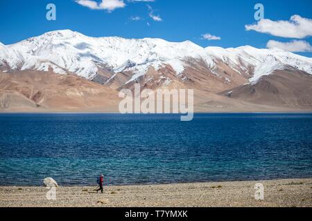 Indien, Jammu und Kaschmir, Himalaya, Ladakh, Changthang Hochebene (Changtang), Rupshu Tal, Wandern am westlichen Ufer des Tsomoriri See (4530 m), die schneebedeckten Gipfel des Shamser Kangri (6600 m) und Lungser Kangri (6650 m) Stockfoto