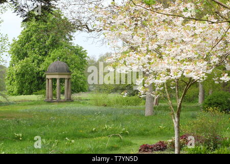 Der Tempel der Winde an doddington Halle und Gärten, Lincolnshire durch Kirschblüten Mitte Frühjahr gesehen. England, Großbritannien Stockfoto