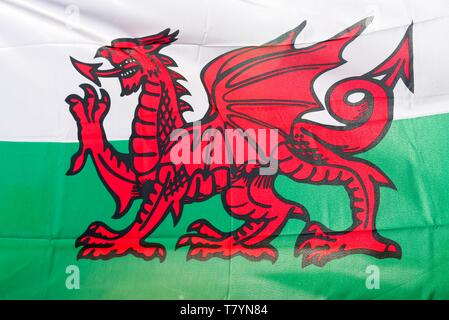 Vereinigtes Königreich, Wales, Pembrokeshire, Tenby, Flagge von Wales Stockfoto