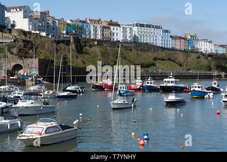 Vereinigtes Königreich, Wales, Pembrokeshire, Tenby, Hafen Stockfoto