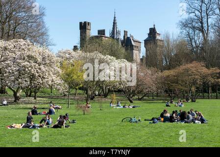 Vereinigtes Königreich, Wales, South Glamorgan, Cardiff, Bute Park und das Arboretum mit Cardiff im Hintergrund das Schloss Stockfoto