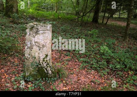 Frankreich, Pays de la Loire, Saint Dizier l Eveque, Limit mit Feche l'Eglise und Tardets-sorholus, Wald, historischen Weg der Grenzsteine des Fürstentums von Montbeliard, Grenze von 1543, vereinfachte Wappen der Wurtemberg-Montbeliard der Revolution gehämmert, erstmalige B von Tardets-sorholus Stockfoto