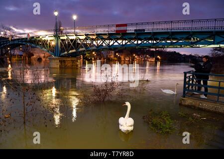 Frankreich, Val de Marne, Bry sur Marne, die fußgängerbrücke von Gustave Eiffel zwischen Bry sur Marne und Le Perreux sur Marne im Hintergrund, die Ufer der Marne überflutet Stockfoto