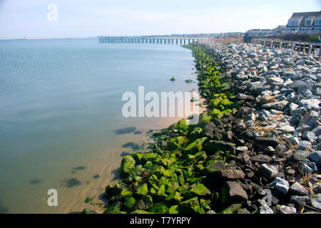 Steg am Lewes-Cape kann Ferry Terminal in Lewes, Delaware, USA Stockfoto