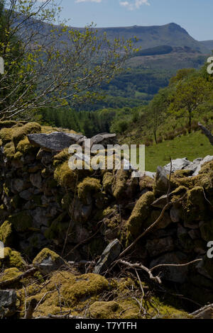 Blick auf den Abgrund zu Fuß Trail und Umgebung im Snowdonia National Park, Wales, Großbritannien Stockfoto