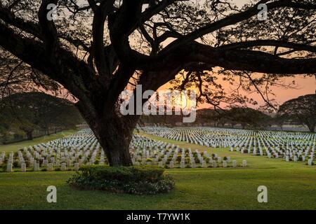 - Papua-New Guinea, National Capital District, Port Moresby, Bomana australische militärische cimetery, Bäume auf die Gräber Stockfoto