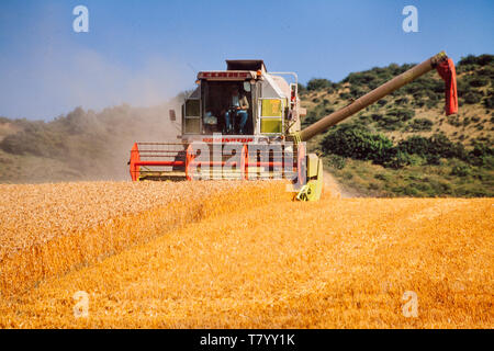 Mähdrescher in Betrieb, die Zeit der Ernte UK Stockfoto