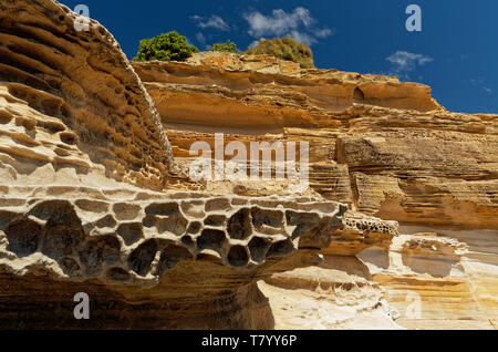 Schöne Landschaft, gemalt Klippen auf Maria Island in der Nähe von Tasmanien, National Reservation, Australien. Stockfoto