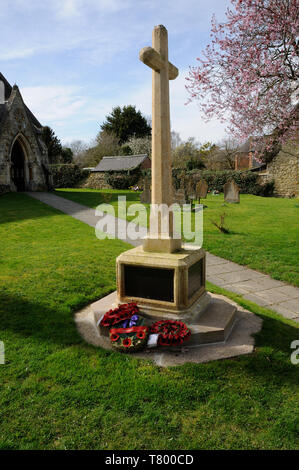 Kriegerdenkmal auf dem Friedhof von St. Leonard, Yarley Gobion. Rote Rose die Buchsen wurden auf dem Friedhof gepflanzt Stockfoto