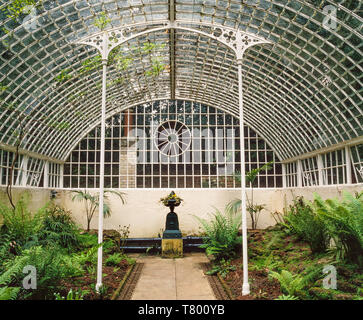 Viktorianische farn Gewchshaus, Glashaus innen Stockfotografie - Alamy