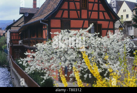 Kaysersberg-Vignoble, Haut-Rhin, Alsace, France Stockfoto