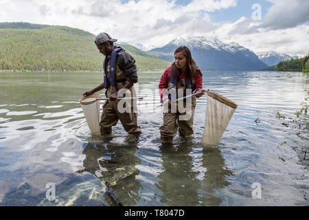 BioBlitz im Glacier NP Stockfoto