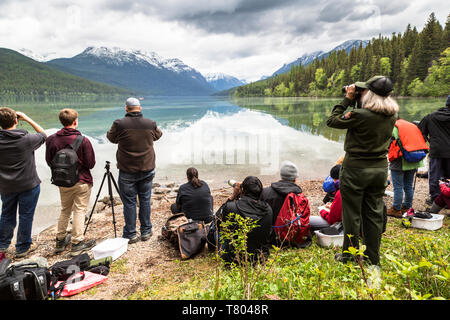 BioBlitz im Glacier NP Stockfoto