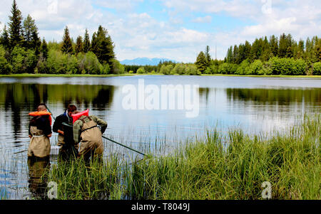 BioBlitz im Glacier NP Stockfoto