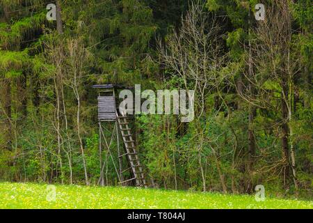 Hunter's Hochsitz am Rande des Waldes, Baden-Württemberg, Deutschland Stockfoto