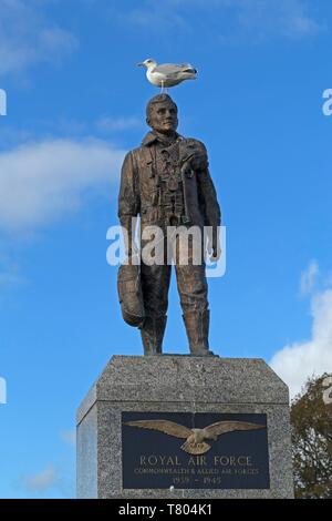 Europäische Silbermöwe (Larus argentatus) auf der Royal Air Force Denkmal, Plymouth Hoe, Plymouth, Devon, England, Großbritannien Stockfoto