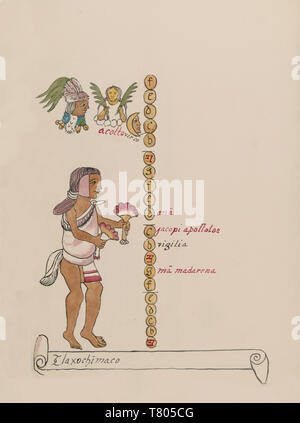 Tovar Codex, Tlaxochimaco, 9 Monat aztekische Kalender Stockfoto