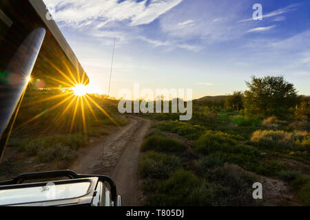 Safari Jeep am Morgen Licht in Südafrika mit sunstar Stockfoto