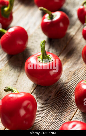 Raw Organic Rot Cherry Bomb Paprika bereit zu Kochen Stockfoto