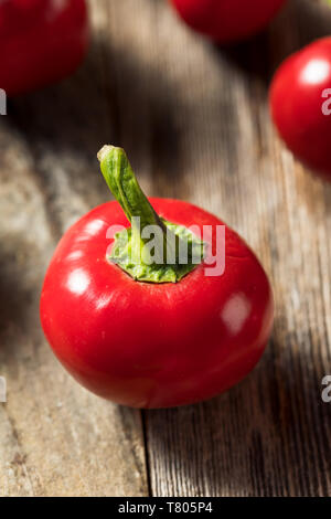 Raw Organic Rot Cherry Bomb Paprika bereit zu Kochen Stockfoto