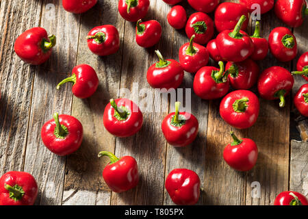 Raw Organic Rot Cherry Bomb Paprika bereit zu Kochen Stockfoto