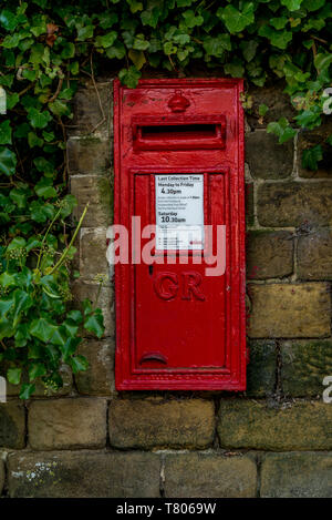 Red Royal Mail Briefkasten vertieft in astone Wand von Ivy umgeben. Stockfoto