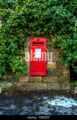 Red Royal Mail Briefkasten vertieft in astone Wand von Ivy umgeben. Stockfoto