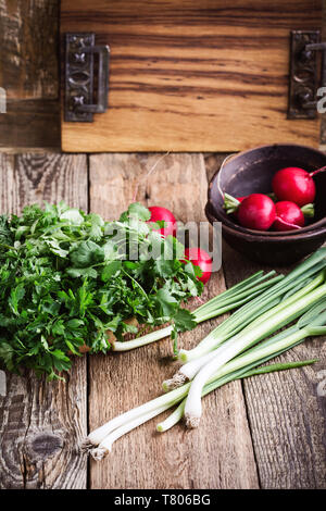 Anlage Frisches grünes Gemüse und Kräuter kochen Zutat auf ländlichen Holztisch. Veganes essen Hintergrund mit Koriander, Petersilie, Dill, Frühlingszwiebel, Radi Stockfoto