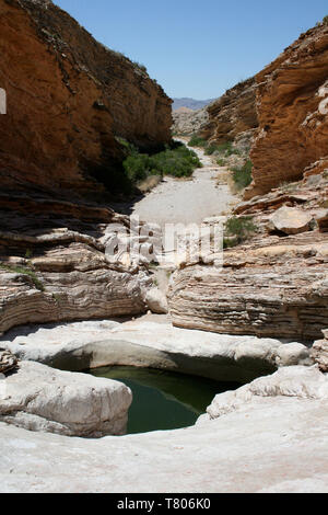 Big Bend NP Stockfoto