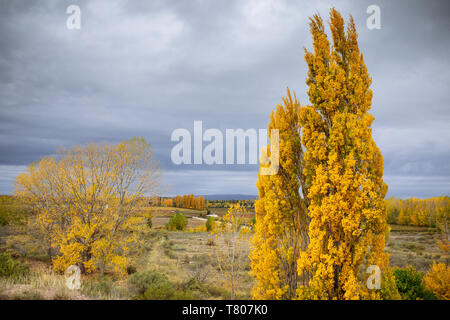 Typische Mendocino feld landschaft auf Herbst, Mendoza, Argentinien Stockfoto