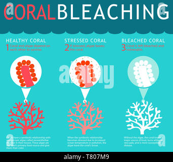 Coral Reef Bleichen Infografik Stockfoto