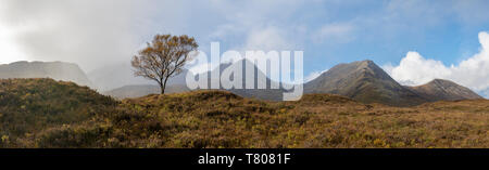 Ein einsamer Baum und der Cuillins auf der Insel Skye, Innere Hebriden, Scottish Highlands, Schottland, Großbritannien, Europa Stockfoto