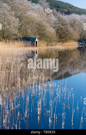 Loch Ard teilweise über eine Reif um Aberfoyle im Loch Lomond und der Trossachs National Park, Stirling, Schottland, Großbritannien und gefroren Stockfoto