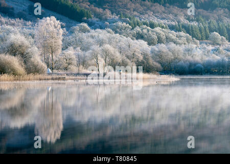 Loch Ard teilweise über eine Reif um Aberfoyle im Loch Lomond und der Trossachs National Park, Stirling, Schottland, Großbritannien und gefroren Stockfoto