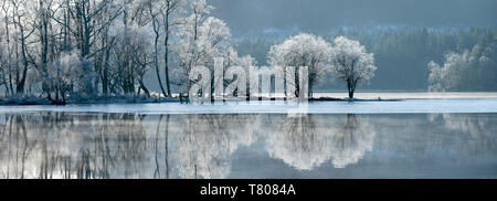 Loch Ard teilweise über eine Reif um Aberfoyle im Loch Lomond und der Trossachs National Park, Stirling, Schottland, Großbritannien und gefroren Stockfoto